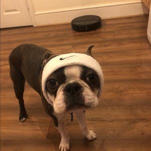 Meet your Posher, David